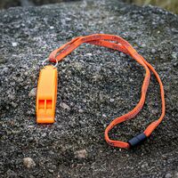 Свисток Lifesystems Safety Whistle, 1 шт., зображення 8