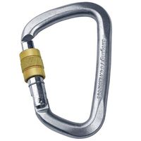 Карабін Singing Rock D Steel Screw (Silver)