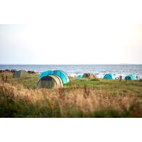 4-місний намет Grand Canyon Robson 4: двошаровий, з тамбуром, високий, Кількість місць: 4, Матеріал каркасу: склопластик, Колір: Capulet Olive, зображення 14