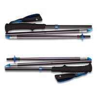 Трекінгові палиці Black Diamond Distance Z (Pewter), 130 см, Тип розміру: 130, Колір: Pewter, зображення 4