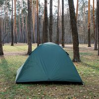 3-місний намет Totem Carriage 3: двошаровий, з тамбуром, Кількість місць: 3, Колір: Green, зображення 16