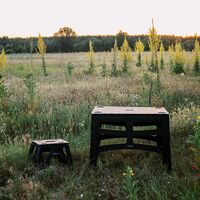 Розкладний табурет на природу Tribe Camp Chair - Low (Black), Тип розміру: Low, Колір виробника: Black, зображення 13