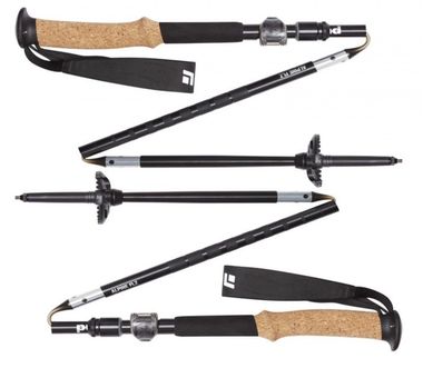 Трекинговые палки Black Diamond Alpine FLZ