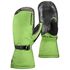 Рукавиці унісекс Black Diamond Super Light - 801679 (Lime Green), Колір виробника: Lime Green, Розмір: S
