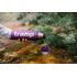 Термос Tramp Expedition UTRC-027 (Purple) на 900 мл, Об'єм: 900, Колір: Purple, зображення 11