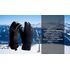 Рукавички унісекс DexShell Ultra Weather Outdoor, Розмір: L, зображення 5