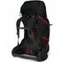 Рюкзак Osprey Aether Plus 70 - L/XL (Black), Об'єм: 70, Колір виробника: Black, Тип розміру спинки: L/XL, зображення 2