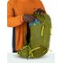 Рюкзак Osprey Talon Velocity 20 - L/XL (Matcha Green/Lemongrass), Об'єм: 22, Колір виробника: Matcha Green/Lemongrass, Тип розміру спинки: L/XL, зображення 14