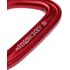 Карабін Black Diamond LiteWire (Red), Колір виробника: Red, зображення 4