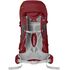 Рюкзак Lowe Alpine AirZone Trek 43:50 (Raspberry), Об'єм: 43-50, Колір виробника: Raspberry, зображення 2