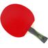 Ракетка для настільного тенісу Gewo Champ