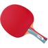 Ракетка для настільного тенісу Gewo Smash