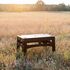 Розкладний стіл Tribe Camp Table - Low (Olive), 70x44,5x39,5 см, Тип розміру: Low, Колір: Olive, зображення 11