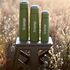 Термос Tramp Basic UTRC-103 (Olive) на 500 мл, Об'єм: 500, Колір: Olive, зображення 6