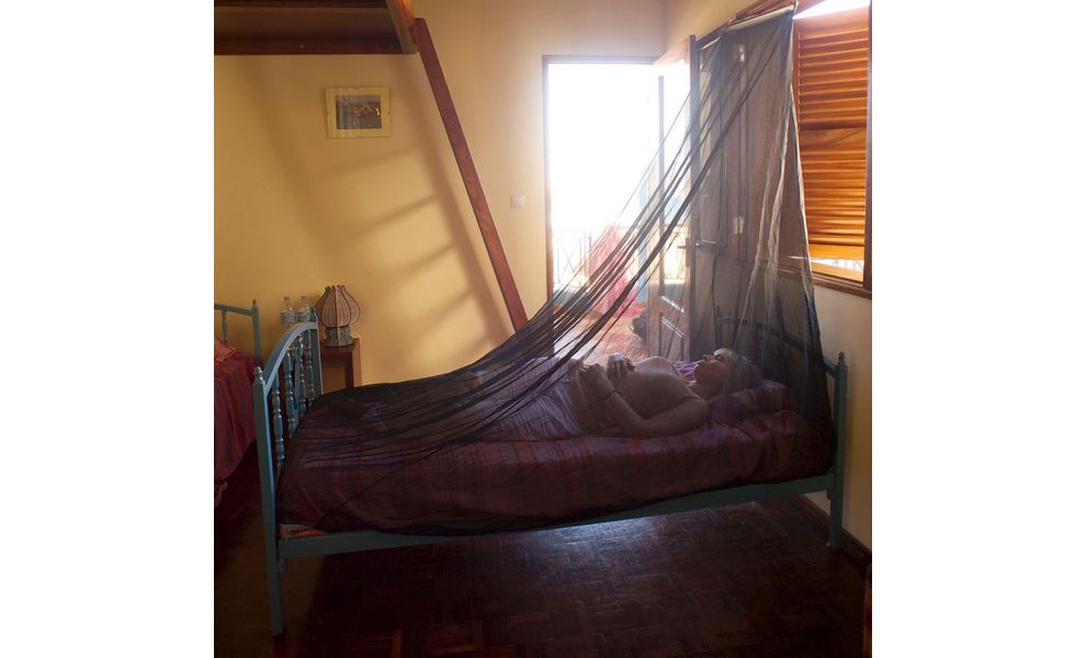 Москітна сітка Lifesystems Solo Net - Single,  210x110x180 см, зображення 3