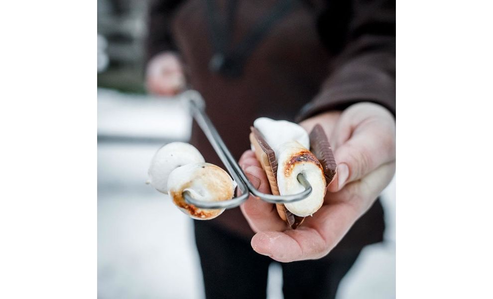 Набір загнутих шампурів для багаття Petromax Campfire Skewer LS2 (2 шт.), зображення 7