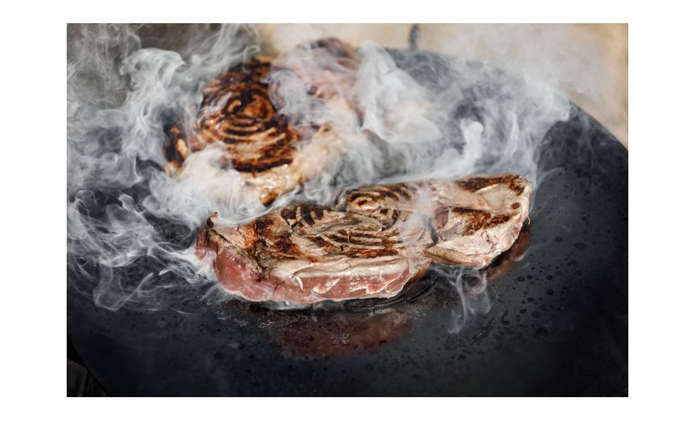 Решітка-гриль для планчі в мангал Petromax Atago, зображення 10