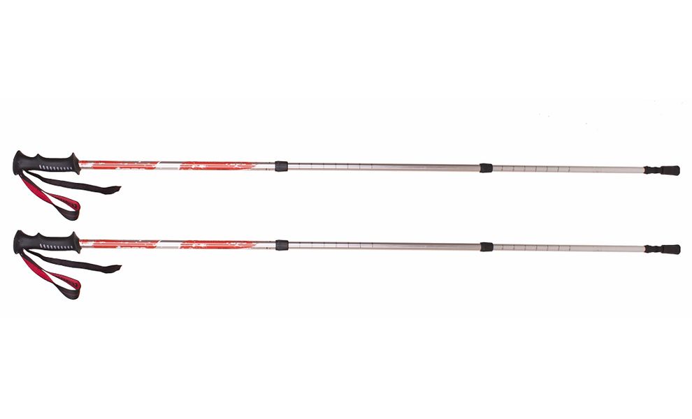 Трекінгові палиці Tramp TRR-009 Scout, 66-140 см, зображення 2