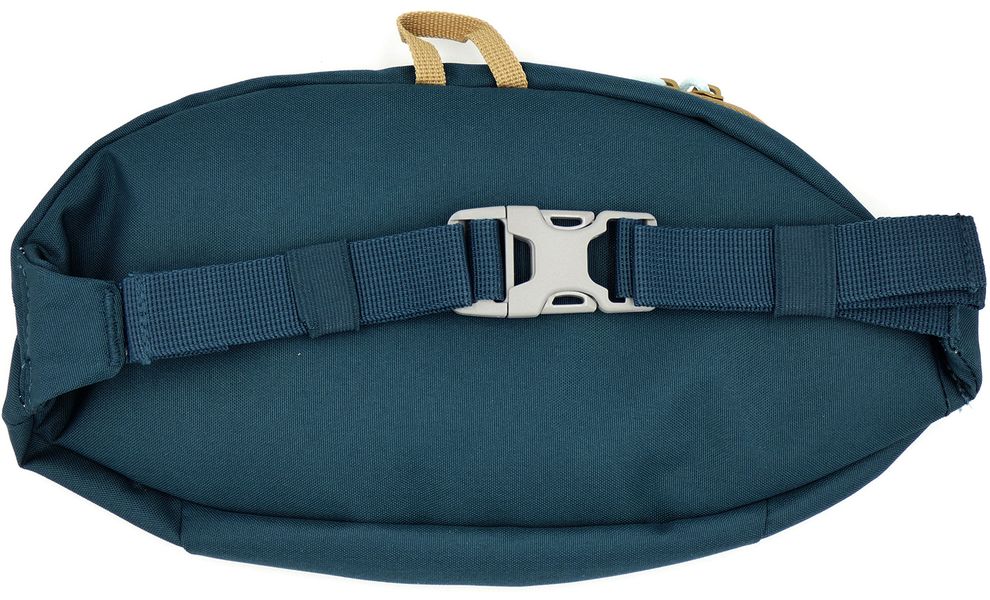 Сумка на пояс Kelty Giddy (Reflecting Pond/Dull Gold), 3 л, Об'єм: 3, Колір виробника: Reflecting Pond/Dull Gold, зображення 3