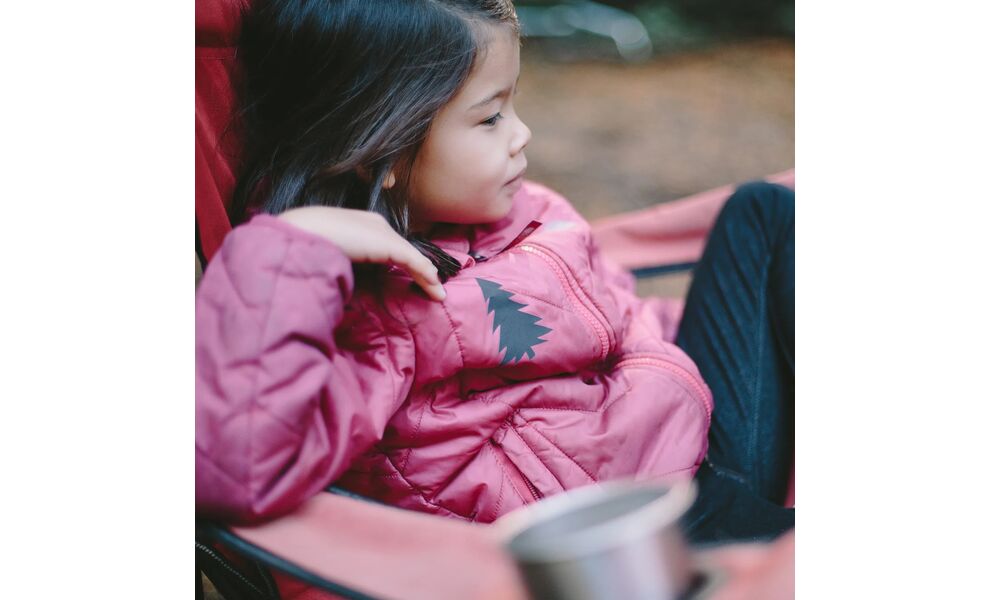 Латка з липким шаром Gear Aid TENACIOUS TAPE™ Gear Patches (малюнки Wildlife), 7,6x50 см, Колір: малюнки Wildlife, зображення 5