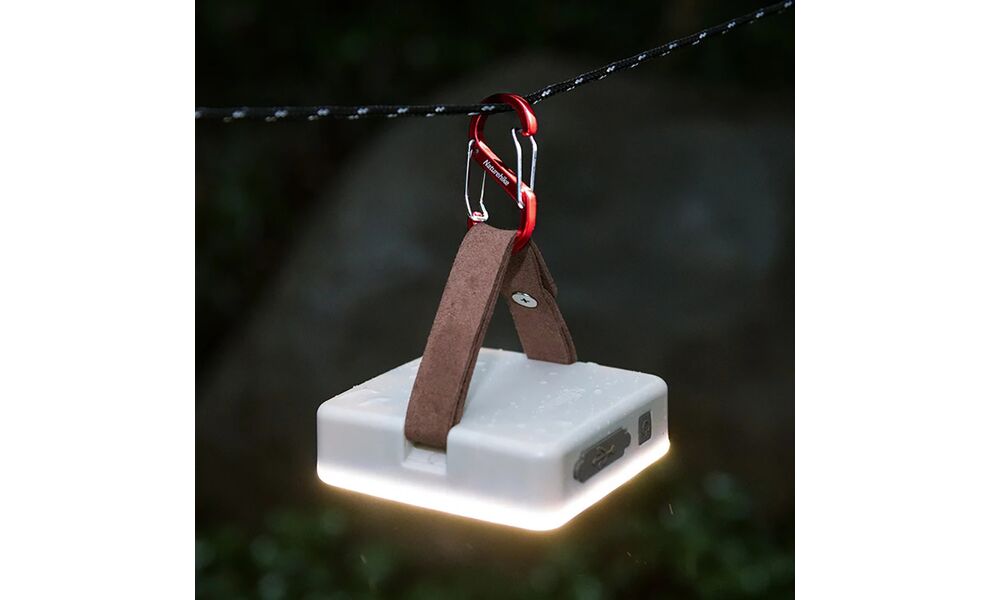 Набір карабінів Naturehike NH20GS004 S-type - 4 см (Red), 4 шт, зображення 7