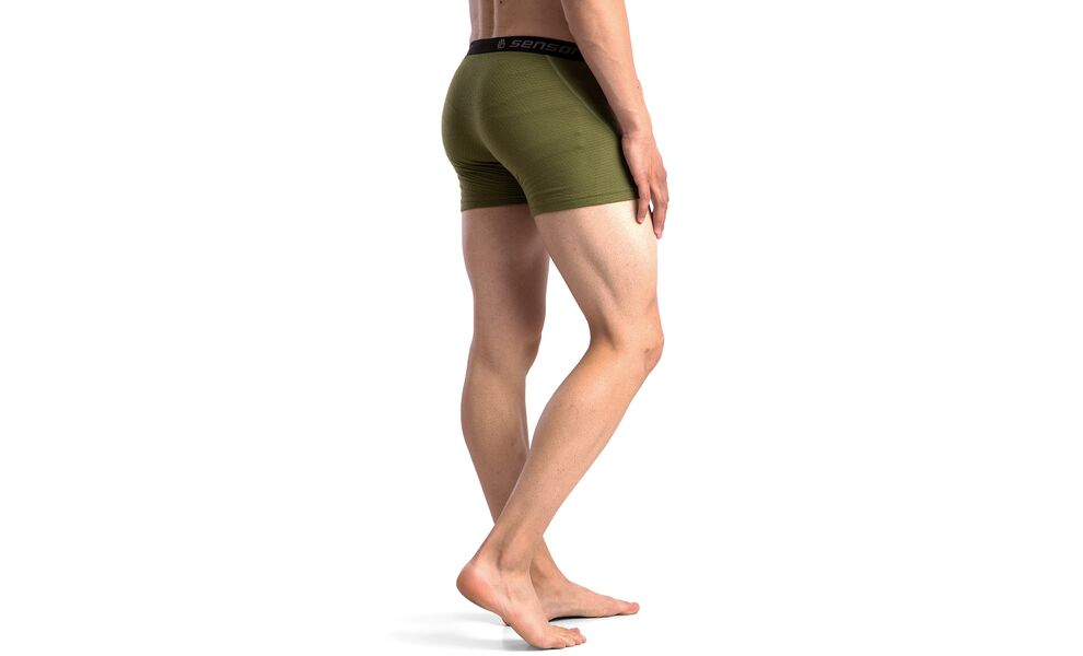 Термотруси чоловічі Sensor Merino DF (Safari), Колір виробника: Safari, Розмір: L, зображення 6