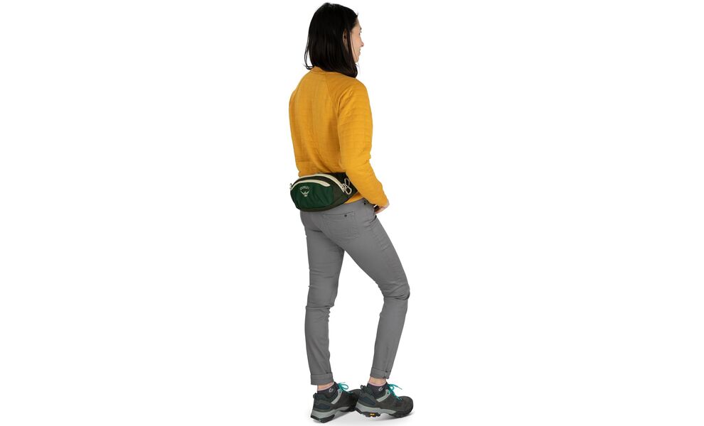 Сумка на пояс Osprey Daylite Waist (Green Belt/Green Canopy), 2 л, Об'єм: 2, Колір виробника: Green Belt/Green Canopy, зображення 8