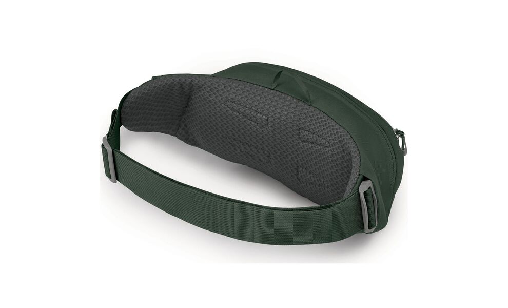 Сумка на пояс Osprey Daylite Waist (Green Belt/Green Canopy), 2 л, Об'єм: 2, Колір виробника: Green Belt/Green Canopy, зображення 2