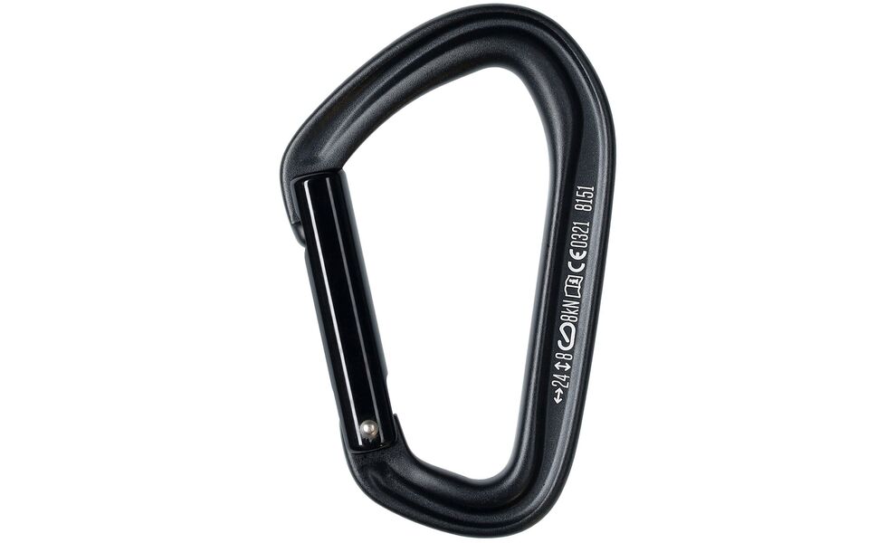 Карабін Black Diamond HotForge Straight, Колір виробника: Black, зображення 2