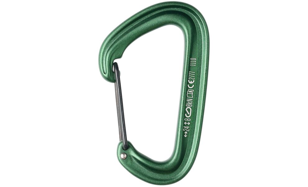 Карабін Black Diamond LiteWire (Green), Колір виробника: Green, зображення 3