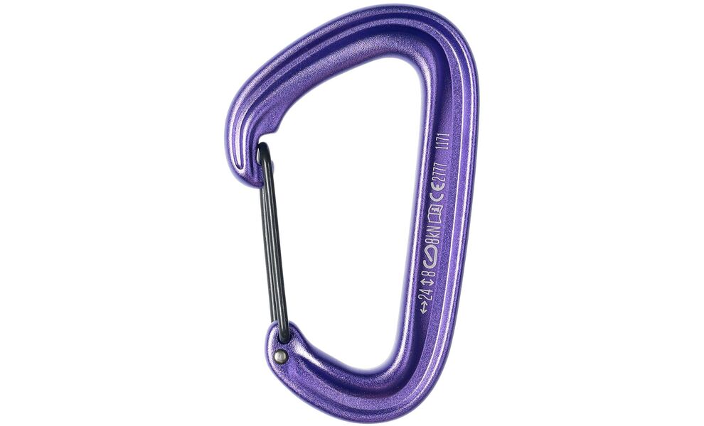 Карабін Black Diamond LiteWire (Purple), Колір виробника: Purple, зображення 2