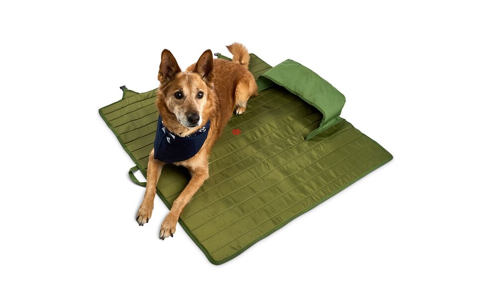 3-місне розкладне крісло з низькою посадкою Kelty Lowdown Couch (Dill-Duffle), Колір виробника: Dill-Duffle, зображення 6