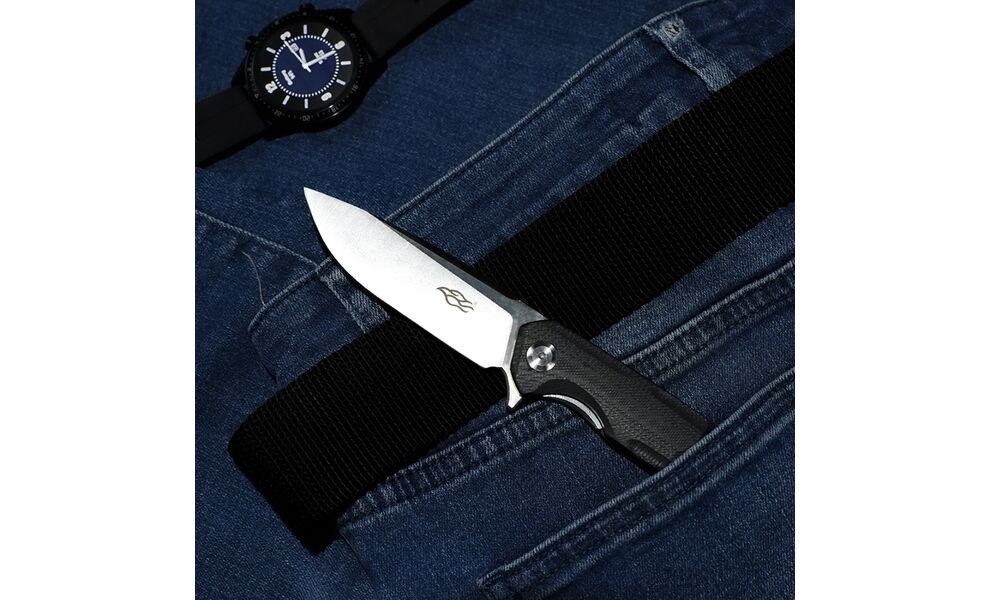 Ніж складний Firebird by Ganzo FH91 (Black), Колір руків'я: Black, зображення 10