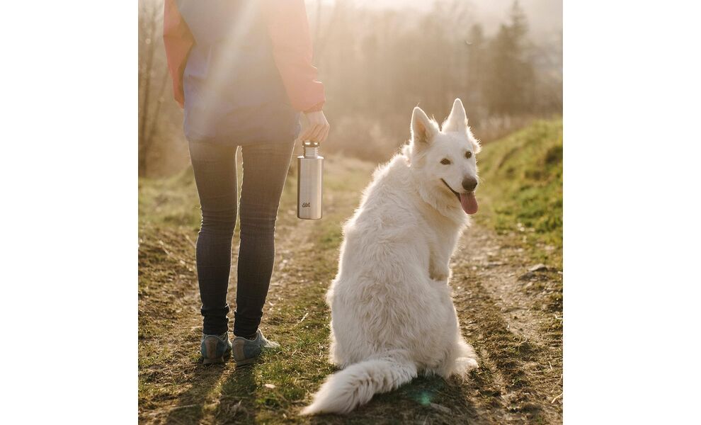 Пляшка для води Esbit Sculptor (Steel) на 750 мл, нержавіюча сталь, Об'єм: 750, Колір виробника: Steel, зображення 8