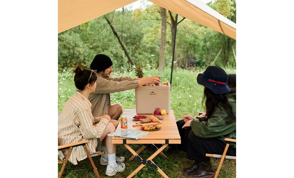 Термобокс Naturehike CNK2300BS011 (Khaki), 24 л, Об'єм: 24, Колір: Khaki, зображення 11