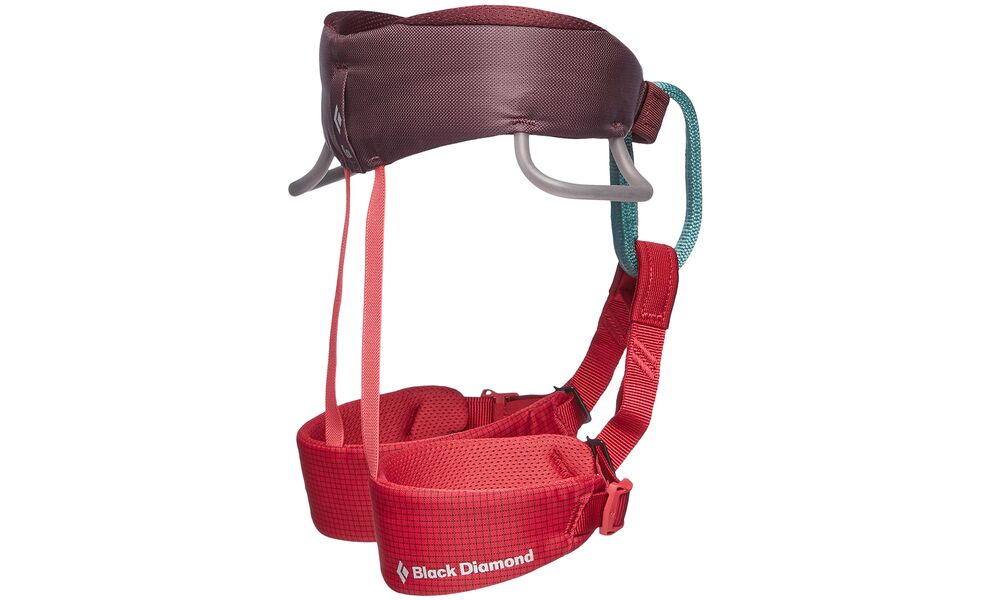 Страхувальна система дитяча Black Diamond Kids' Momentum - 651103 (Wild Rose), Колір виробника: Wild Rose, зображення 2