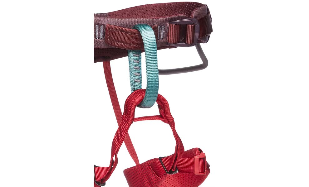 Страхувальна система дитяча Black Diamond Kids' Momentum - 651103 (Wild Rose), Колір виробника: Wild Rose, зображення 3