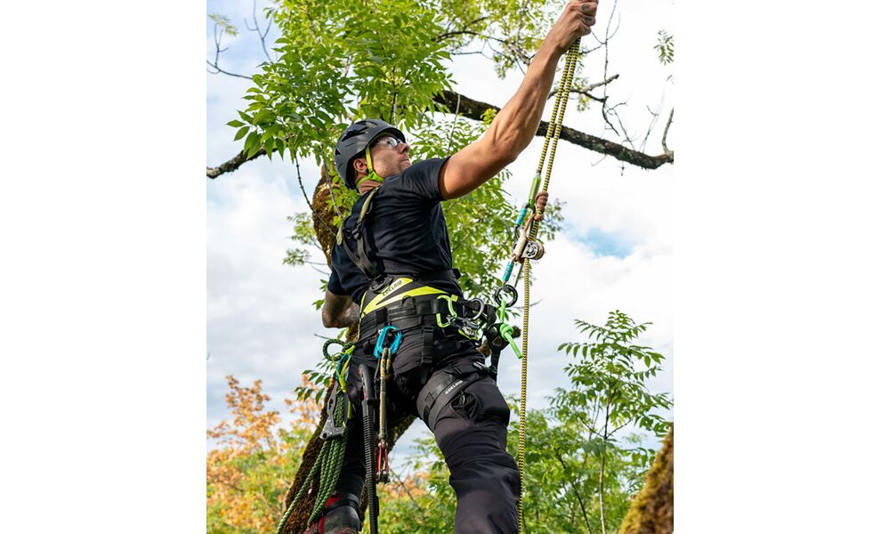 Страхувальна система Edelrid TreeRaptor, Тип розміру: Size 2, зображення 7