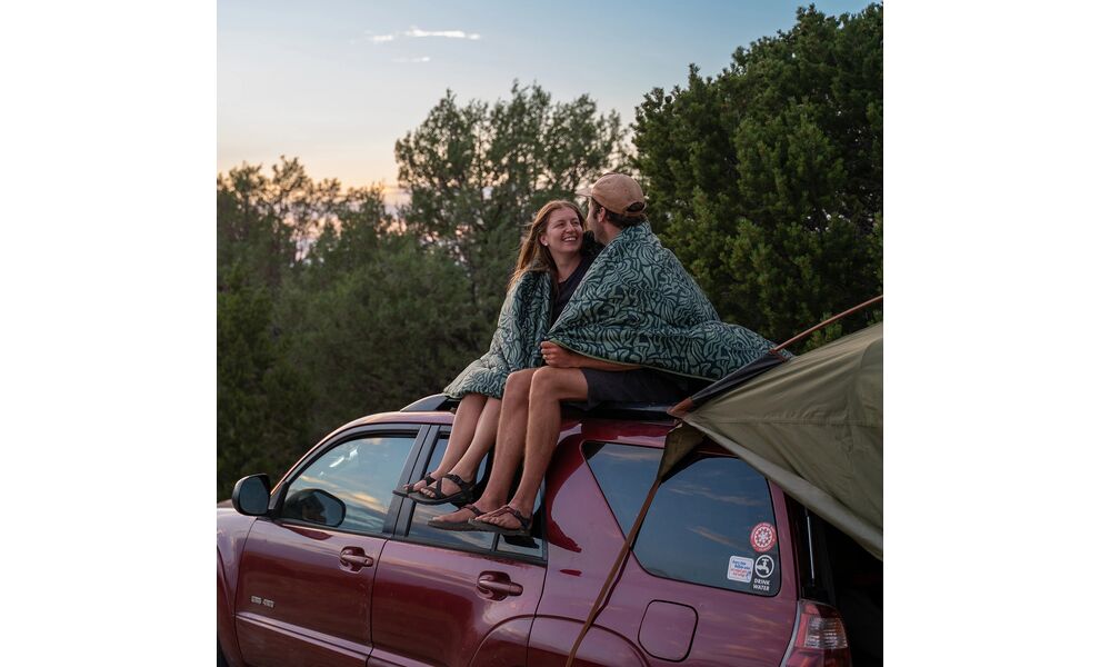 Ковдра для пікніка Kelty Biggie (Dill/Fern), Колір: Dill/Fern, зображення 6