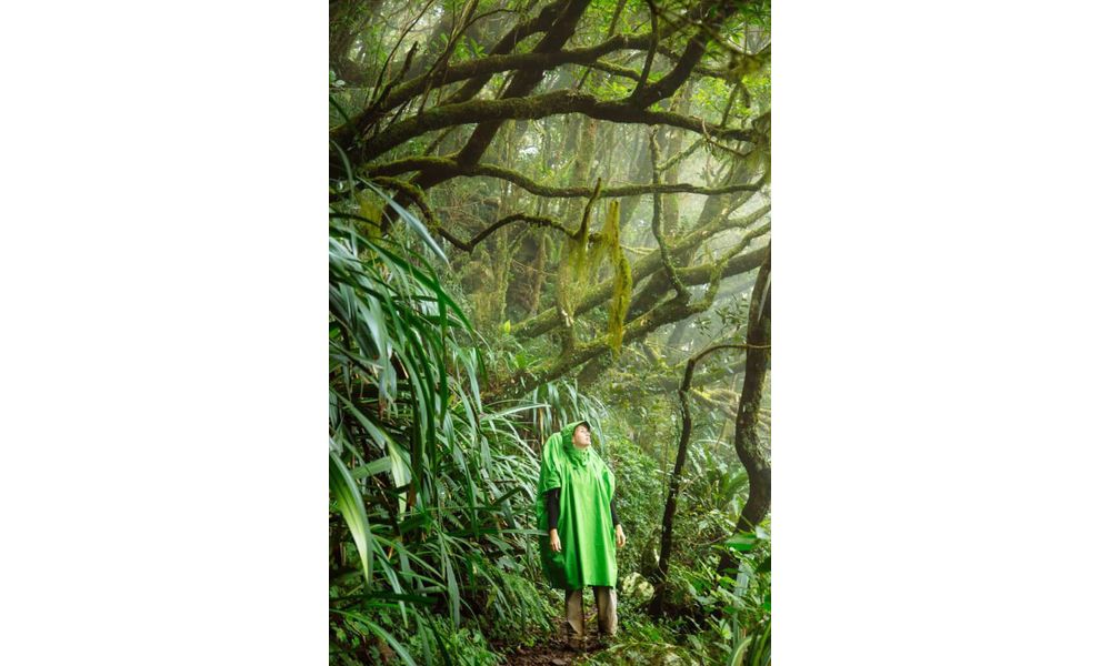 Пончо-тент Sea to Summit Tarp Poncho (Blue), Колір: Blue, зображення 5