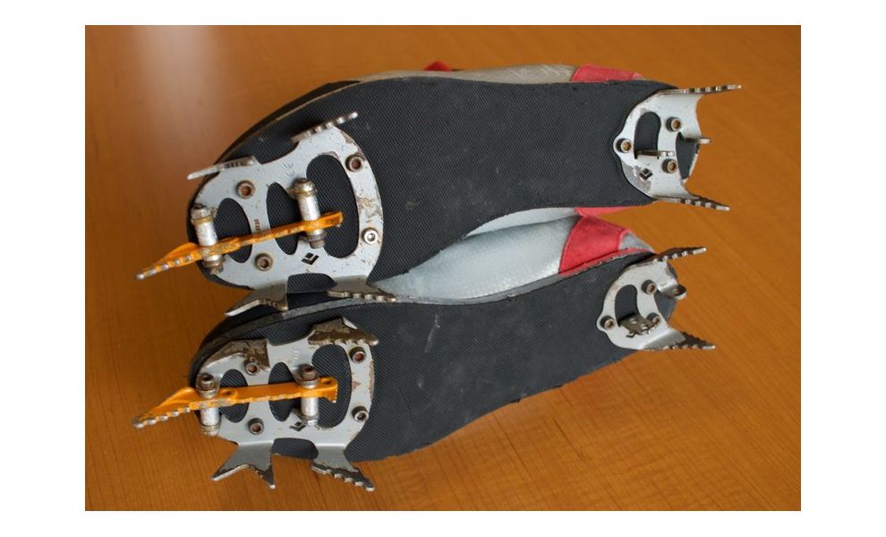 Кішки Black Diamond Raptor, зображення 2