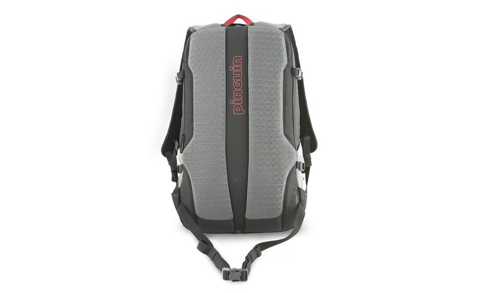 Рюкзак Pinguin Step 24 (Red), Об'єм: 24, Колір виробника: Red, зображення 4