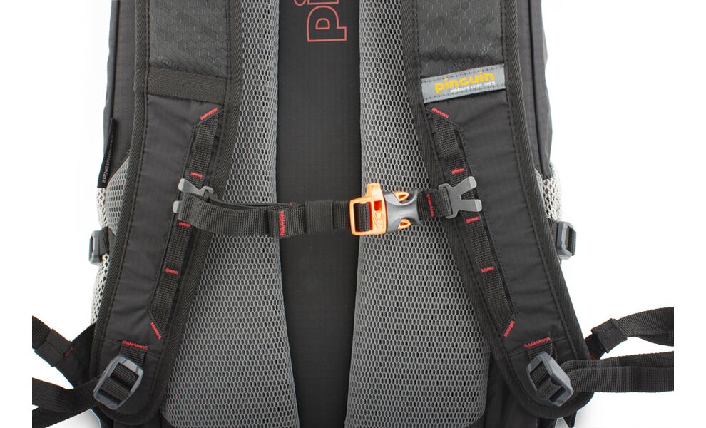 Рюкзак Pinguin Step 24 (Red), Об'єм: 24, Колір виробника: Red, зображення 5