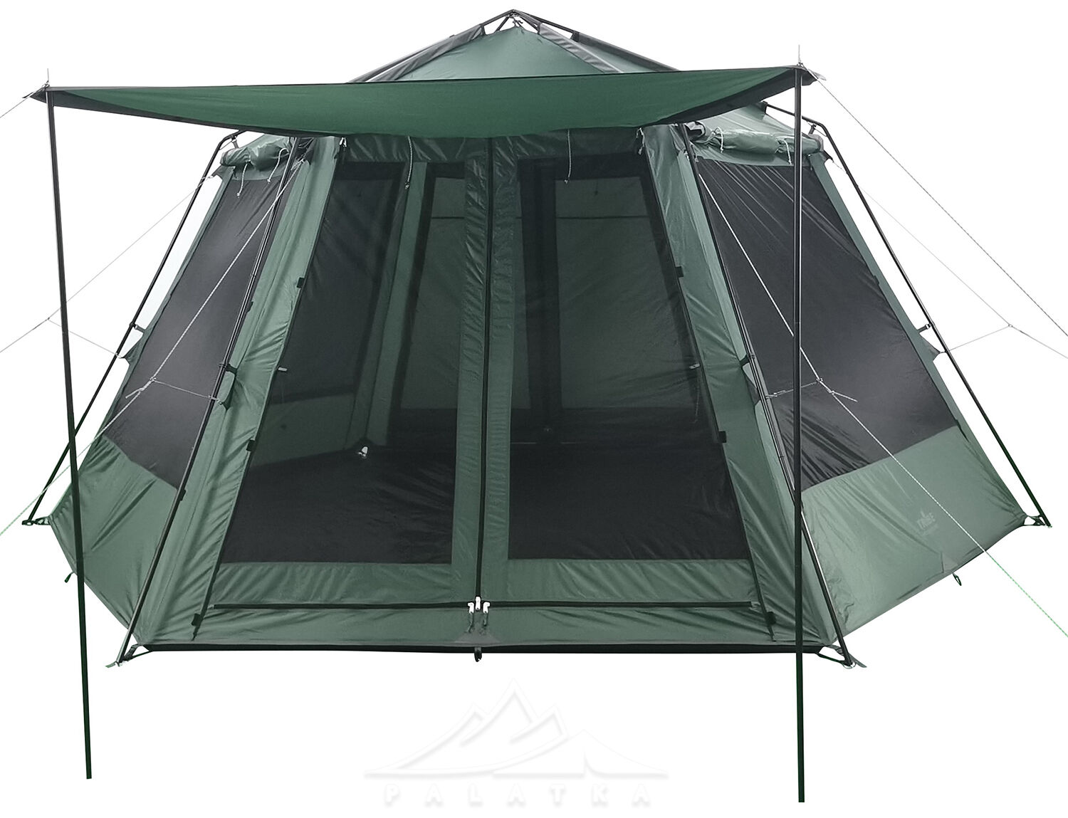 Green Dragon Palatka Flnull